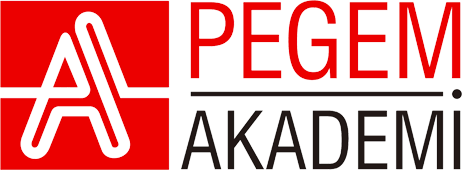 Pegem Akademi